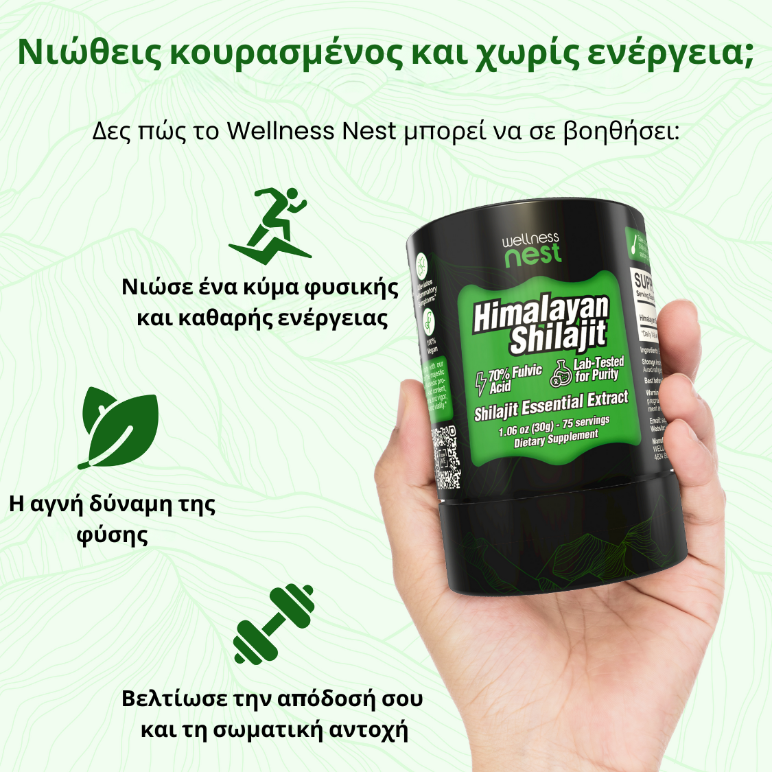 Οφέλη Wellness Nest Shilajit